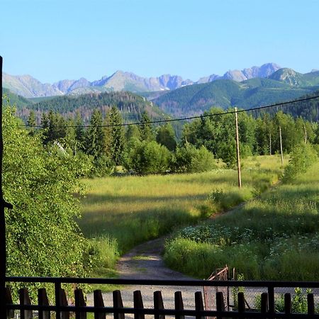 Pensjonat U Doroty, Zakopane - Twoje Miejsce W Gorach 外观 照片